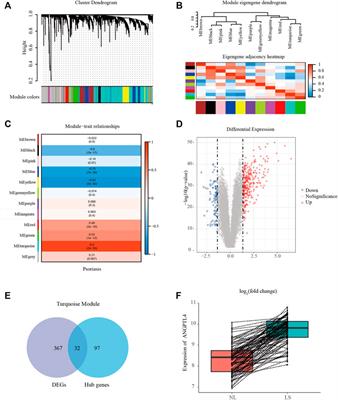 ANGPTL4 Regulates Psoriasis via Modulating Hyperproliferation and Inflammation of Keratinocytes